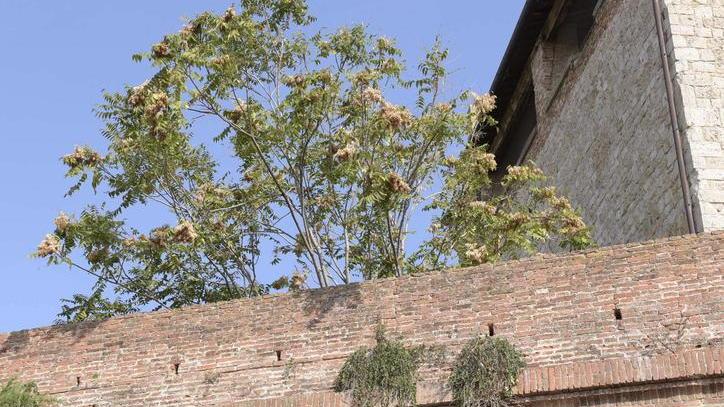 «Rianimiamo questa città di morti viventi sveglia solo il giovedì»