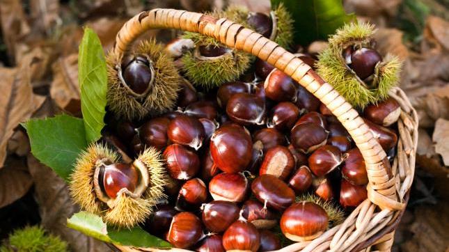 Castagne frutti afrodisiaci