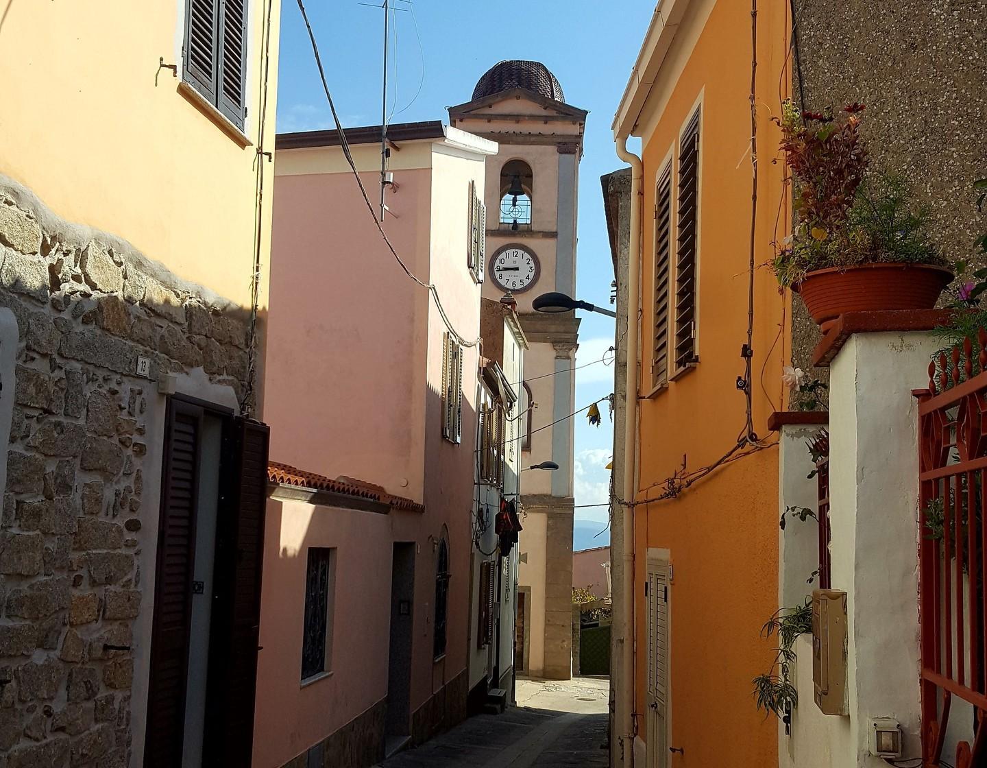 Anela tra i boschi inventa il futuro