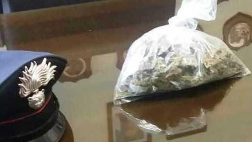 I carabinieri trovano 109 grammi di cannabis indica