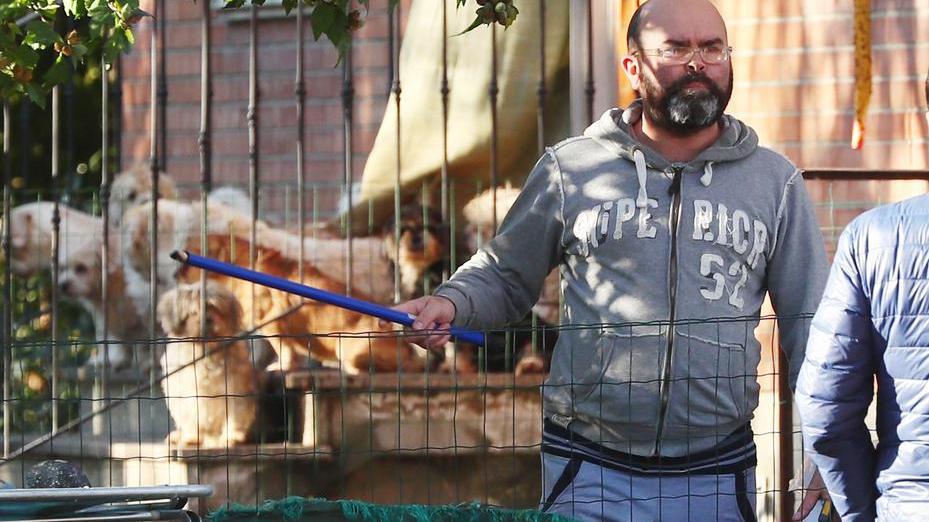 A Ferrara sgomberata la casa occupata con 94 cani: saranno adottati