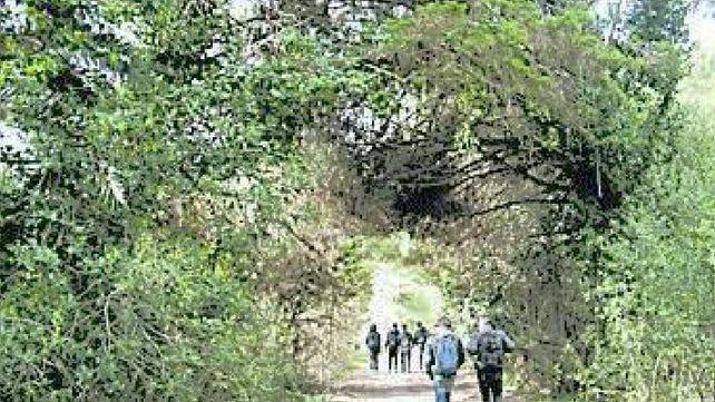 Mostri mitologici e trekking natura