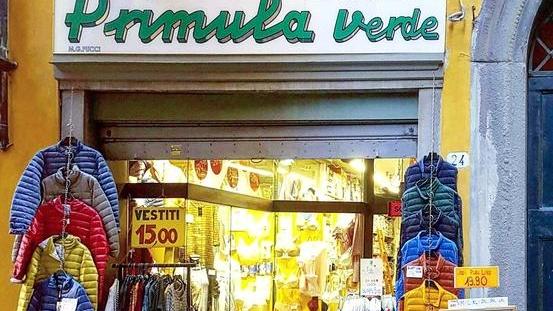 La storia del Novecento dentro la “Primula verde”