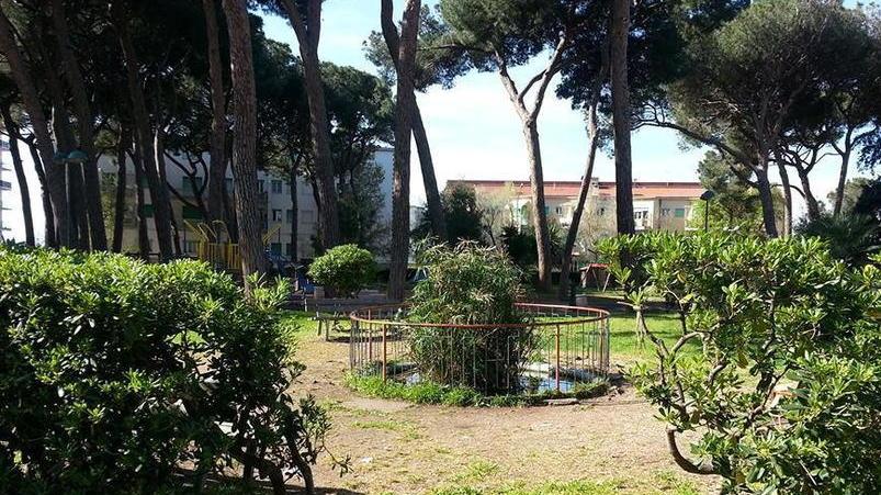 «Chiudere la pineta di notte per evitare atti vandalici»