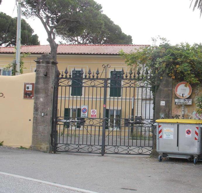 Nuovi giochi in giardino