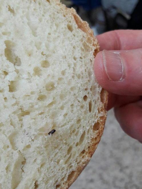 Insetti nel pane a mensa, «C’è stata una falla nel controllo» 