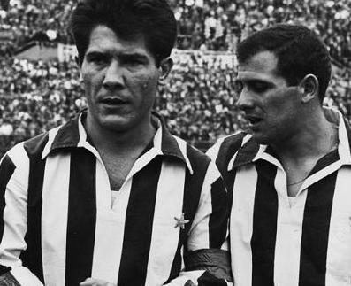 Quei campioni in comune tra la Spal e la Juventus 