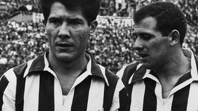 Quei campioni in comune tra la Spal e la Juventus