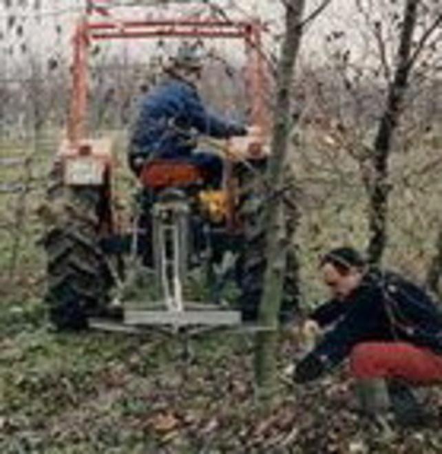 Castelfranco, scopriamo la città degli alberi 