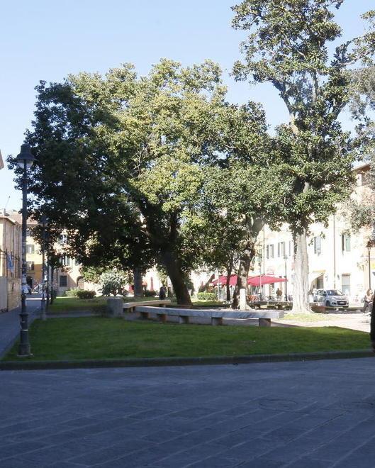Coltellate in una lite tunisino condannato a tre anni e mezzo
