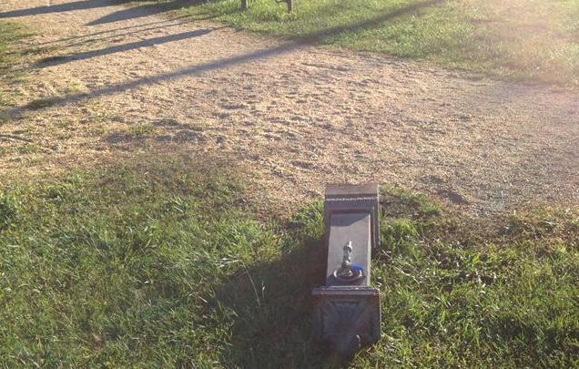 Vandalismi allo skate park ripresi dalle telecamere
