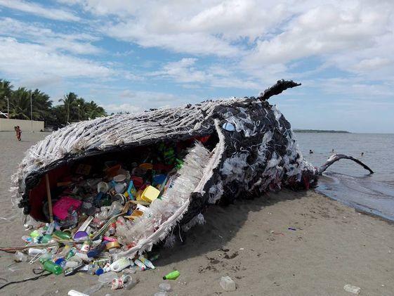 La zuppa di plastica che assedia il mare della Sardegna 