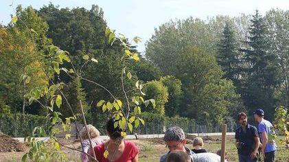 «Non vogliamo il Conad in via Luxemburg»