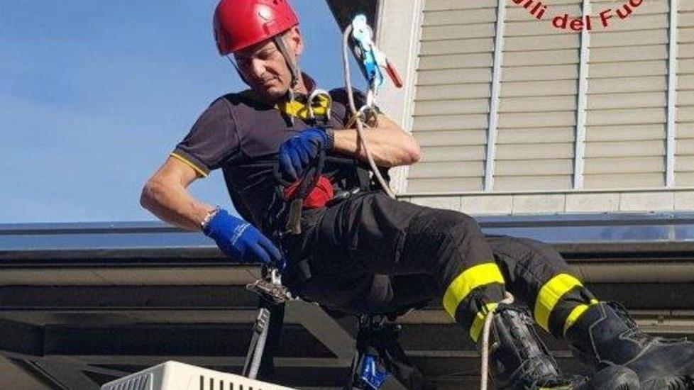 Con la gru sul tetto per salvare un gatto