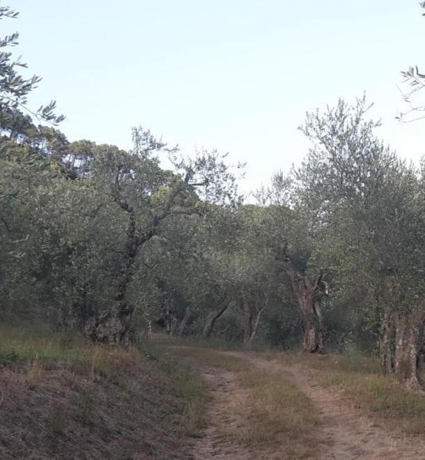 Chiusura del traffico, è già polemica 