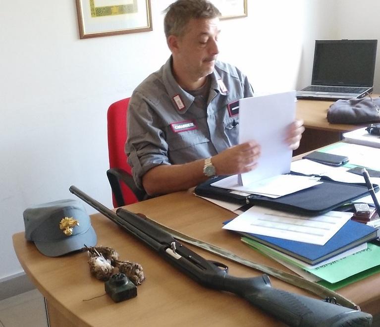 Richiami vietati e fucili sequestrati 
