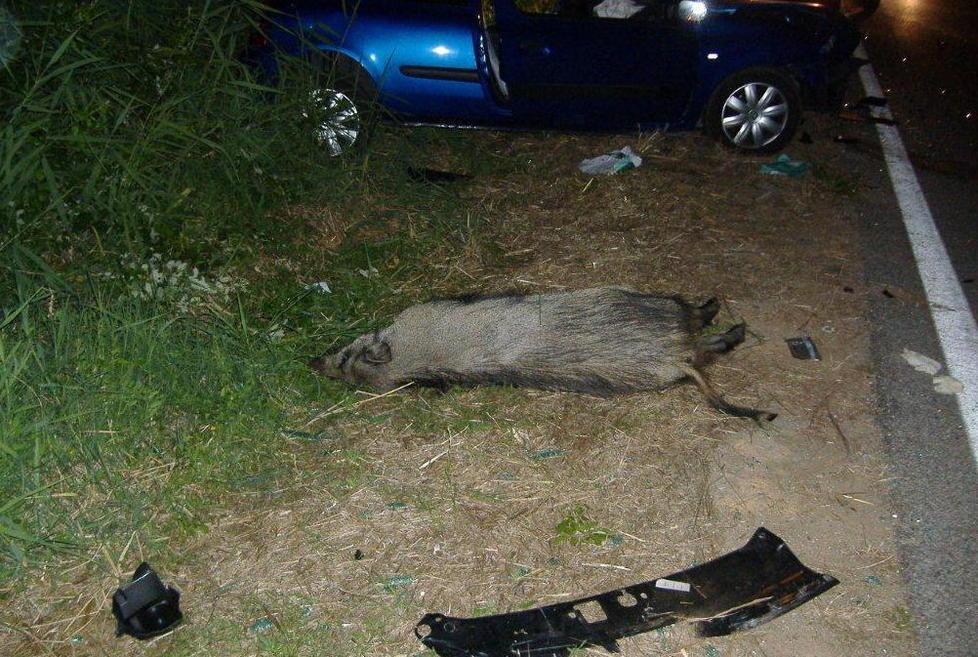 «Il Parco avrebbe dovuto recintare la strada» 