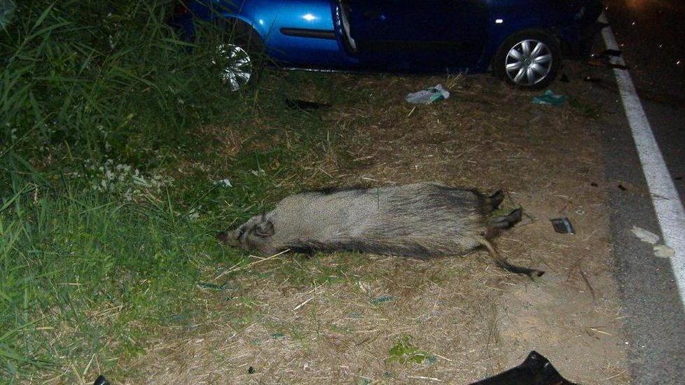 «Il Parco avrebbe dovuto recintare la strada»