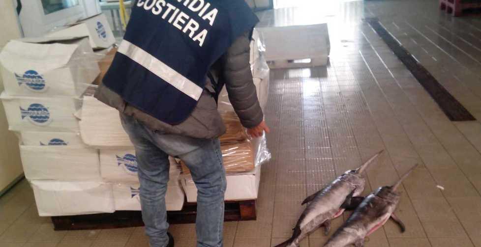 «Prodotti ittici illegali» Multe per 90mila euro 