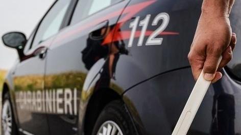Raid di furti: incastrati due fratelli