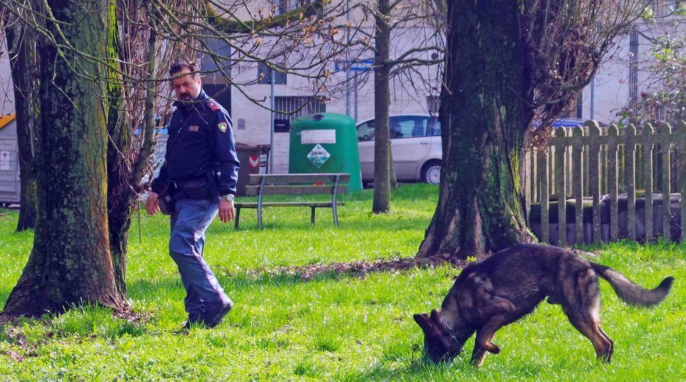 Inchiesta sugli ovuli d’eroina ingoiati dal golden retriever