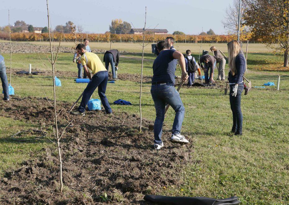 Torna “Mille alberi in più per Reggio”