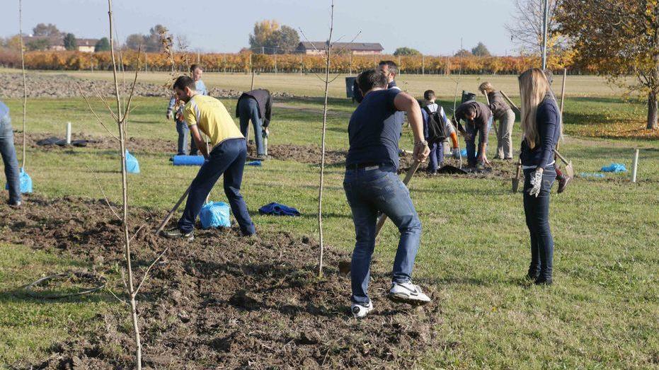 Torna “Mille alberi in più per Reggio”