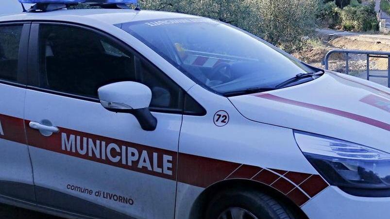 Scippatore inseguito, fermato per strada da cittadini e vigili e arrestato