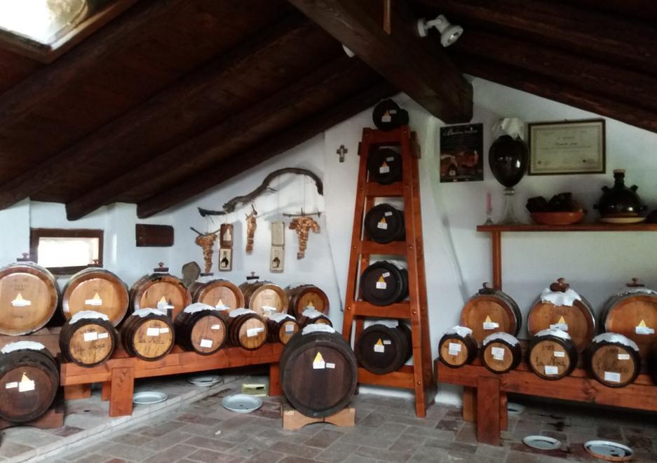 Una “Noce” balsamica