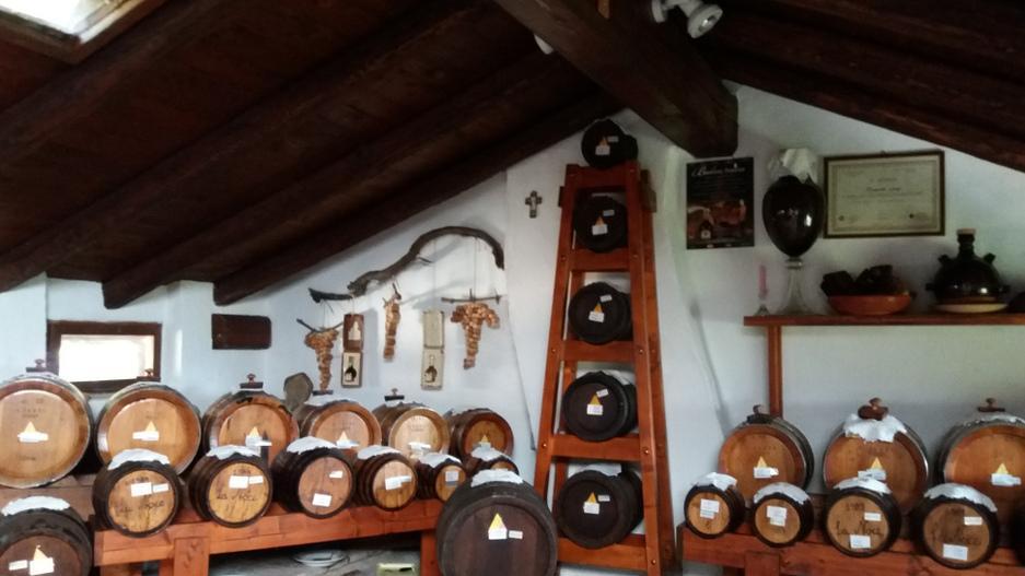 Una “Noce” balsamica