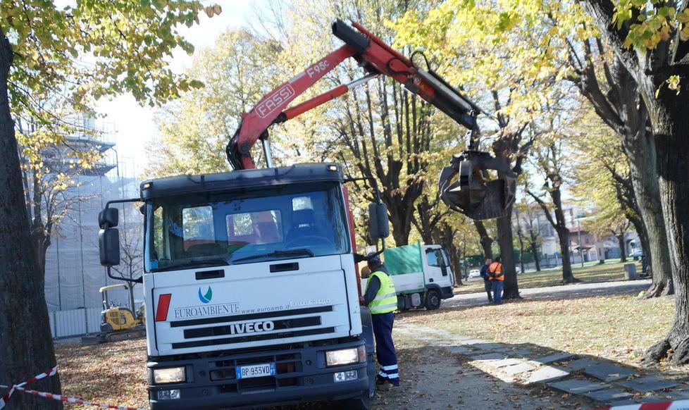 Si piantano nuovi tigli in piazza San Paolo