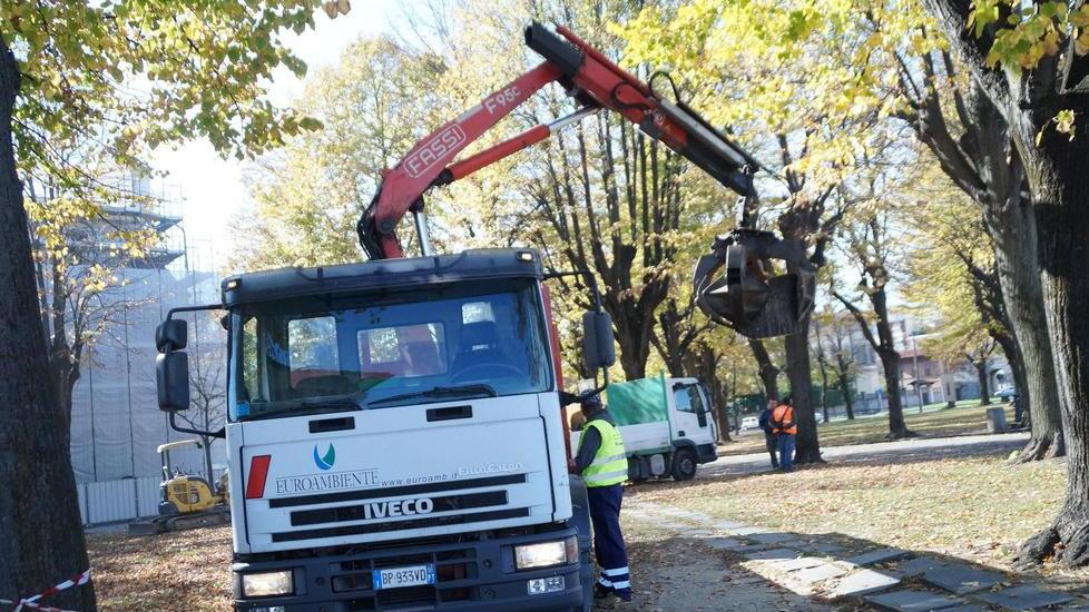 Si piantano nuovi tigli in piazza San Paolo