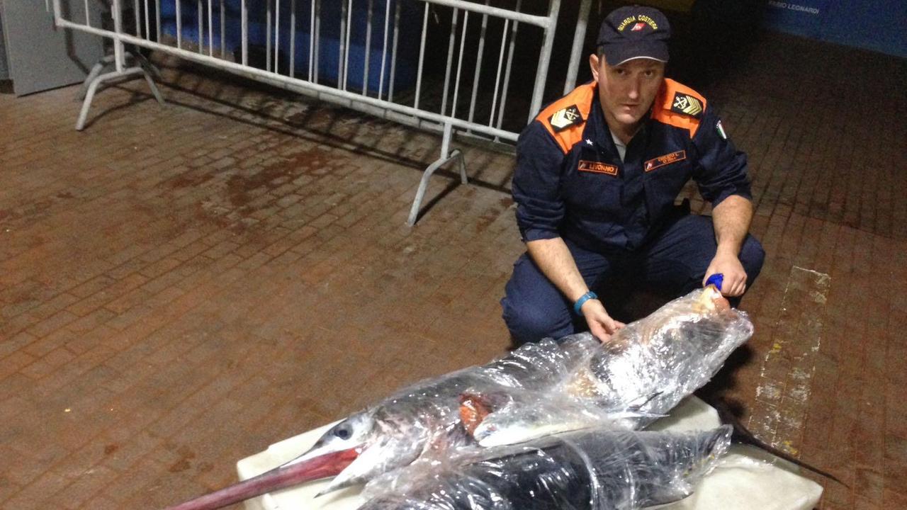Palamito di nove chilometri trovato nelle acque protette di Gorgona