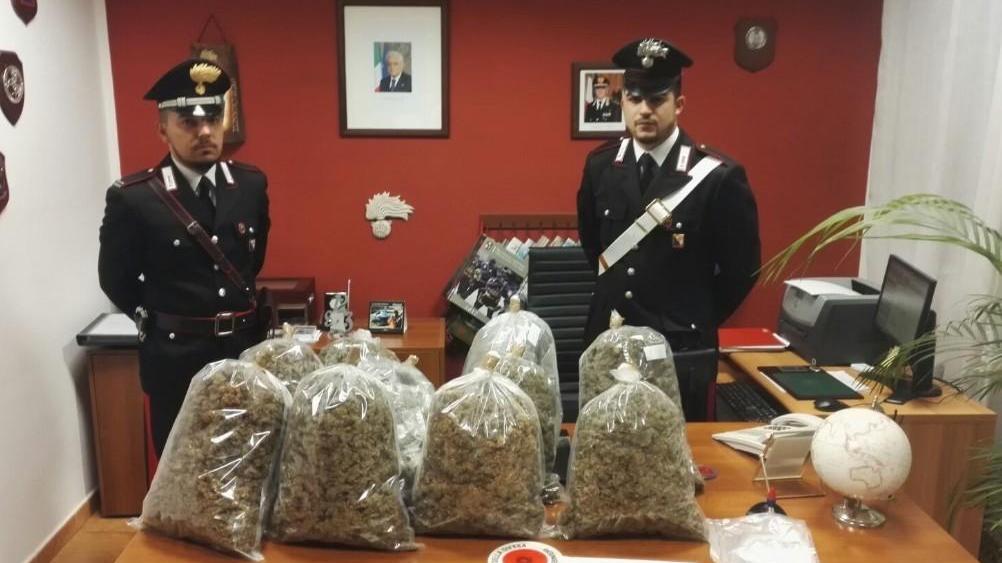 Droga, 35enne incensurato arrestato sulla 131 dcn con 11 chili di marijuana