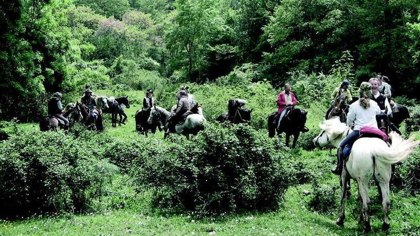 Fine settimana all’insegna di Re Tartufo a Montaione