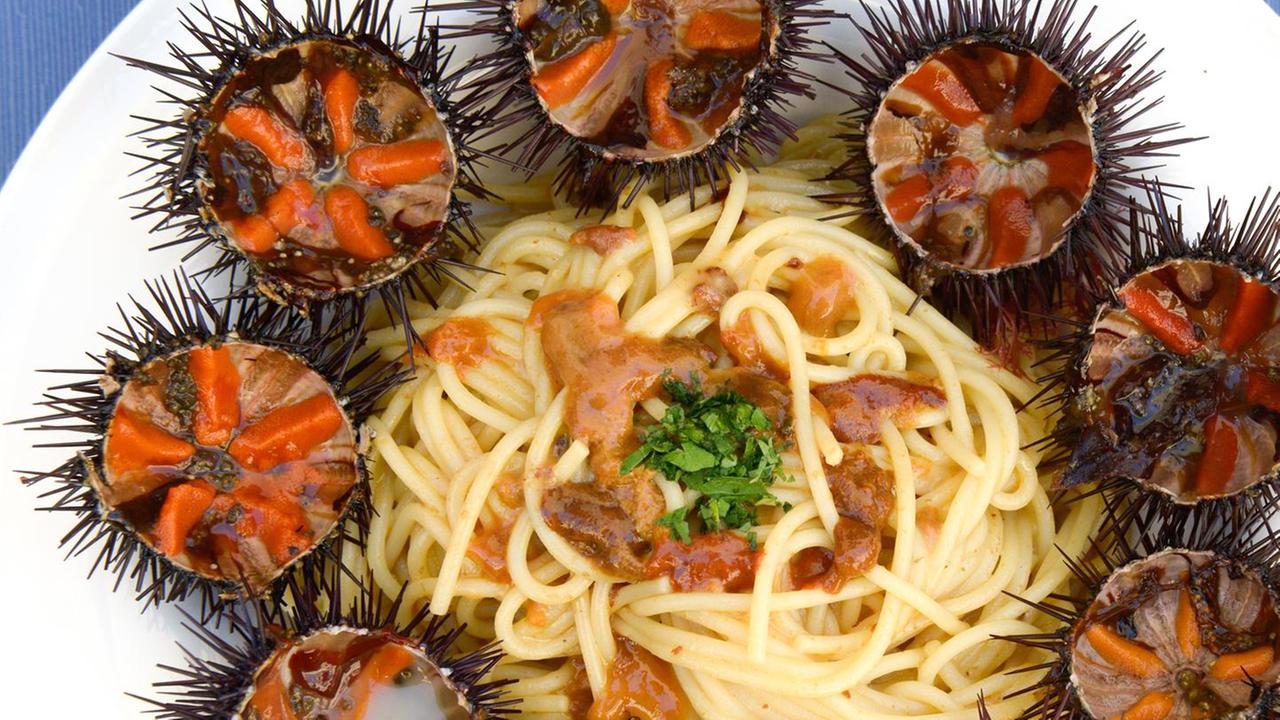 Ricci, raccolta in calo Nuove regole anti estinzione