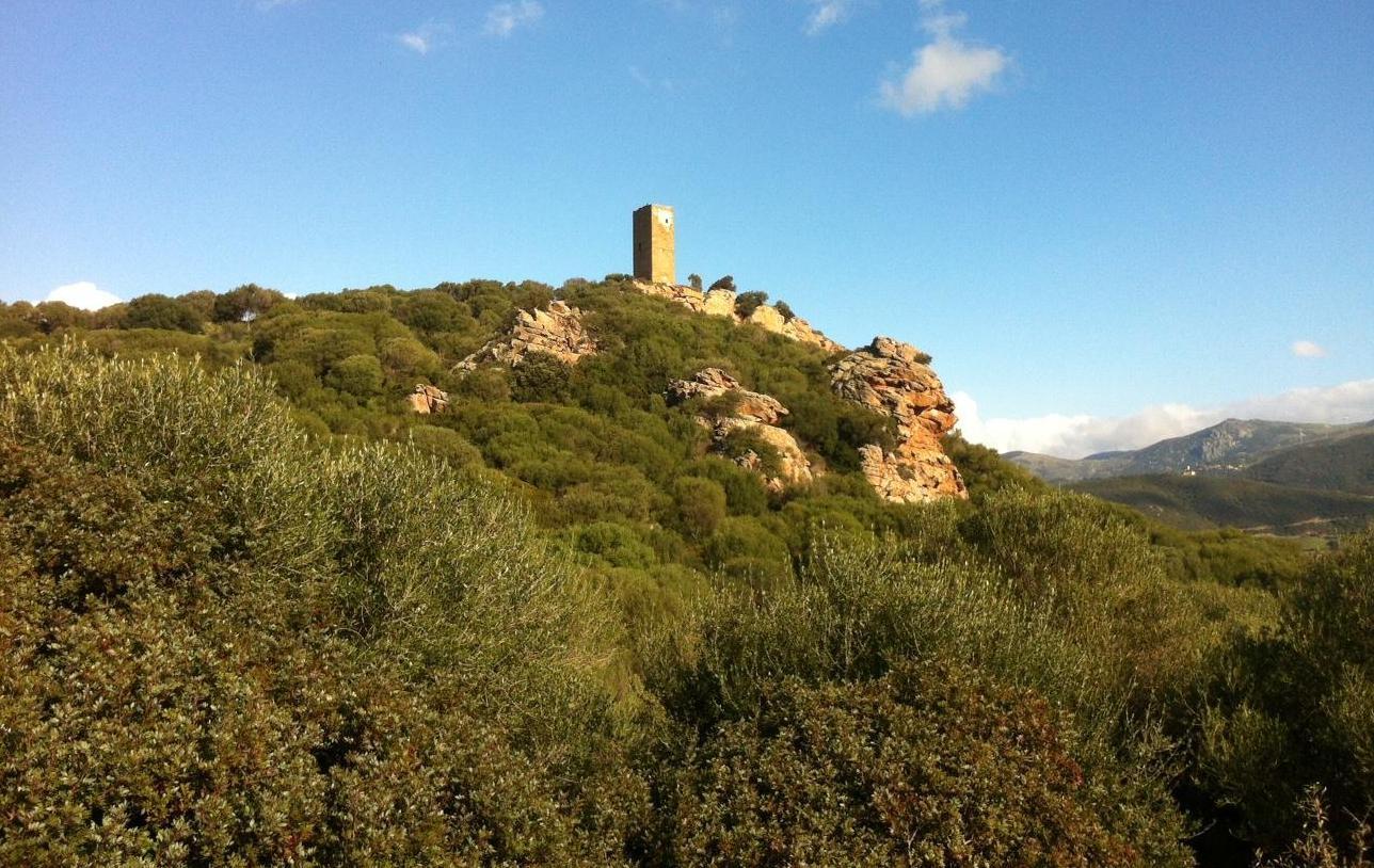 Torre dei Doria assolta l’impresa che eseguì i restauri 