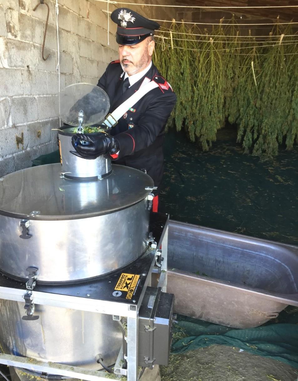 L’ex ovile trasformato in fabbrica della droga 