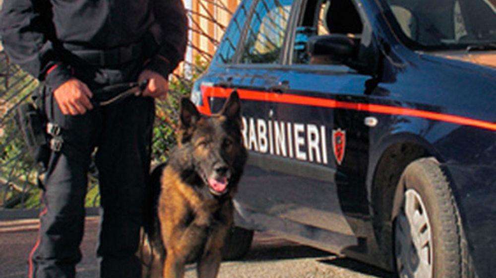 Cane dei carabinieri scova un potente ordigno in campagna