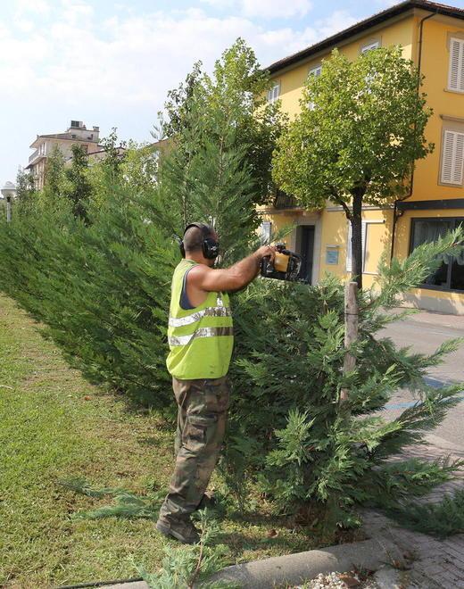 Più lavoro e meno abusivi con il “Bonus Verde” 