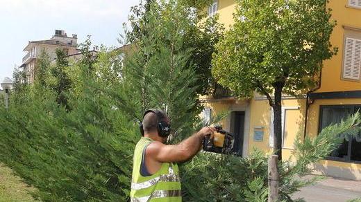 Più lavoro e meno abusivi con il “Bonus Verde”