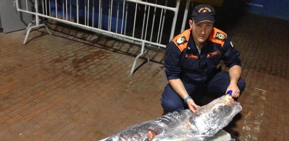 Sequestrato palamito di nove chilometri intorno alla Gorgona 