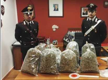 Disoccupato trasportava 11 chili di droga 