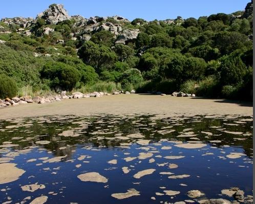 Campagna per salvare il pozzo di Grutti ’e Acqua 