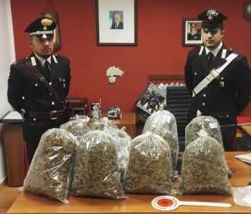 Fermato sulla 131 dcn con 11 chili di droga