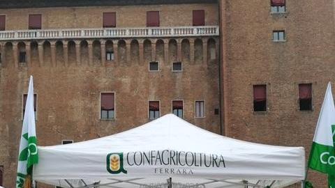 Agriturismo e noci per dare impulso al territorio ferrarese