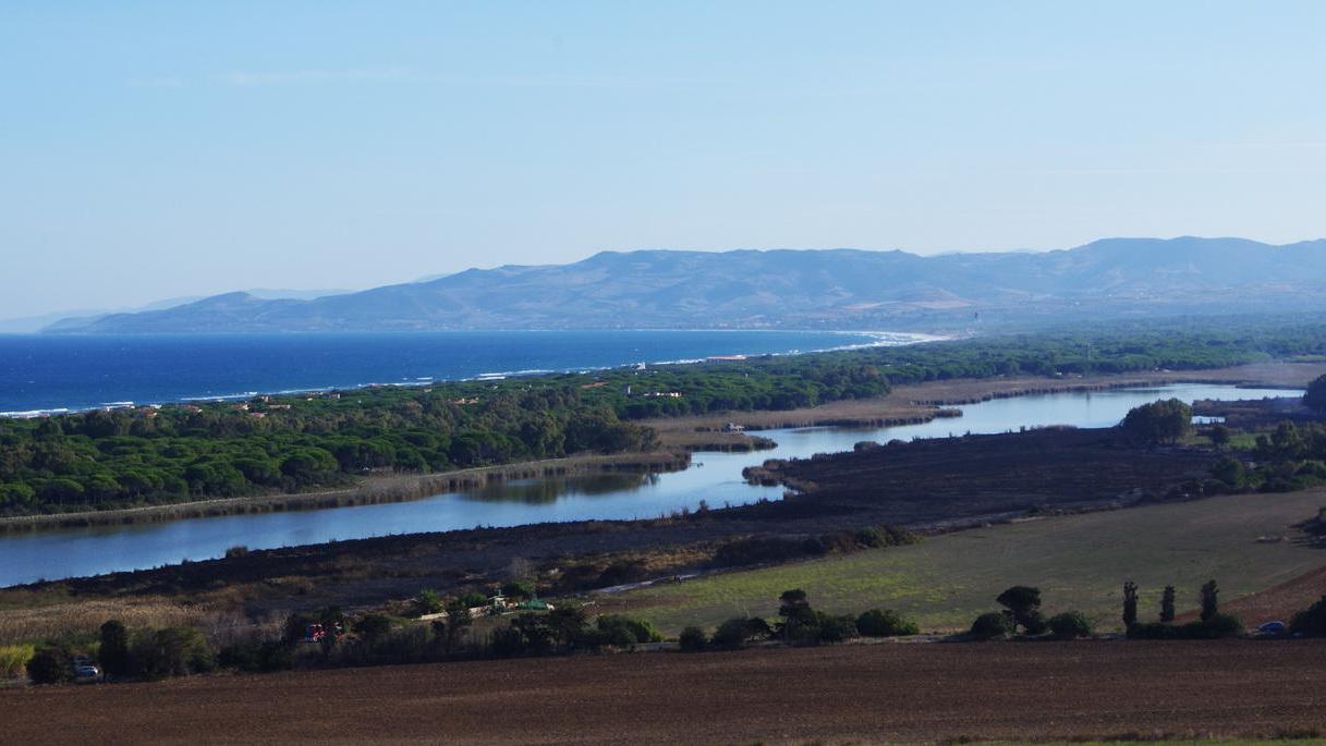 Disastro ecologico a Platamona, un paradiso ridotto in cenere 