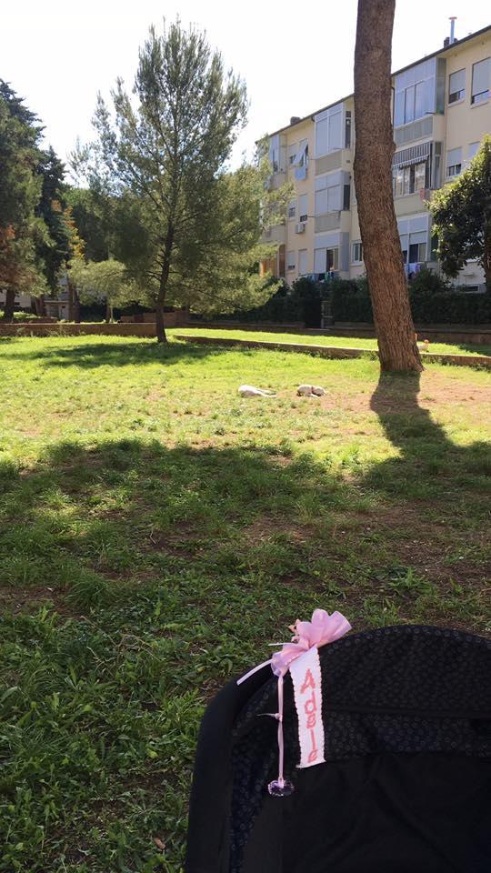 Bimba di un mese muore soffocata, i familiari: «Un dolore indescrivibile» 