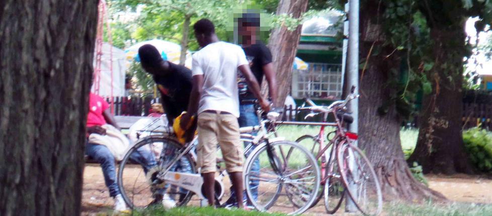 Sono 65.292 gli stranieri residenti in provincia di Reggio Emilia