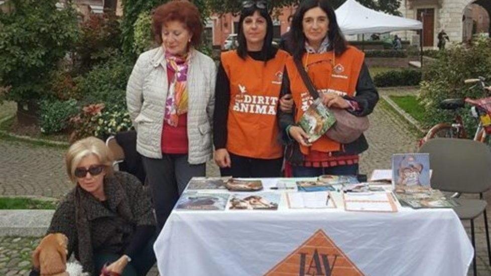 Oltre trecento firme contro la caccia